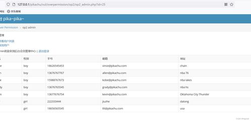 網絡安全第八天 文件上傳漏洞、目錄遍歷與PHP反序列化深度解析